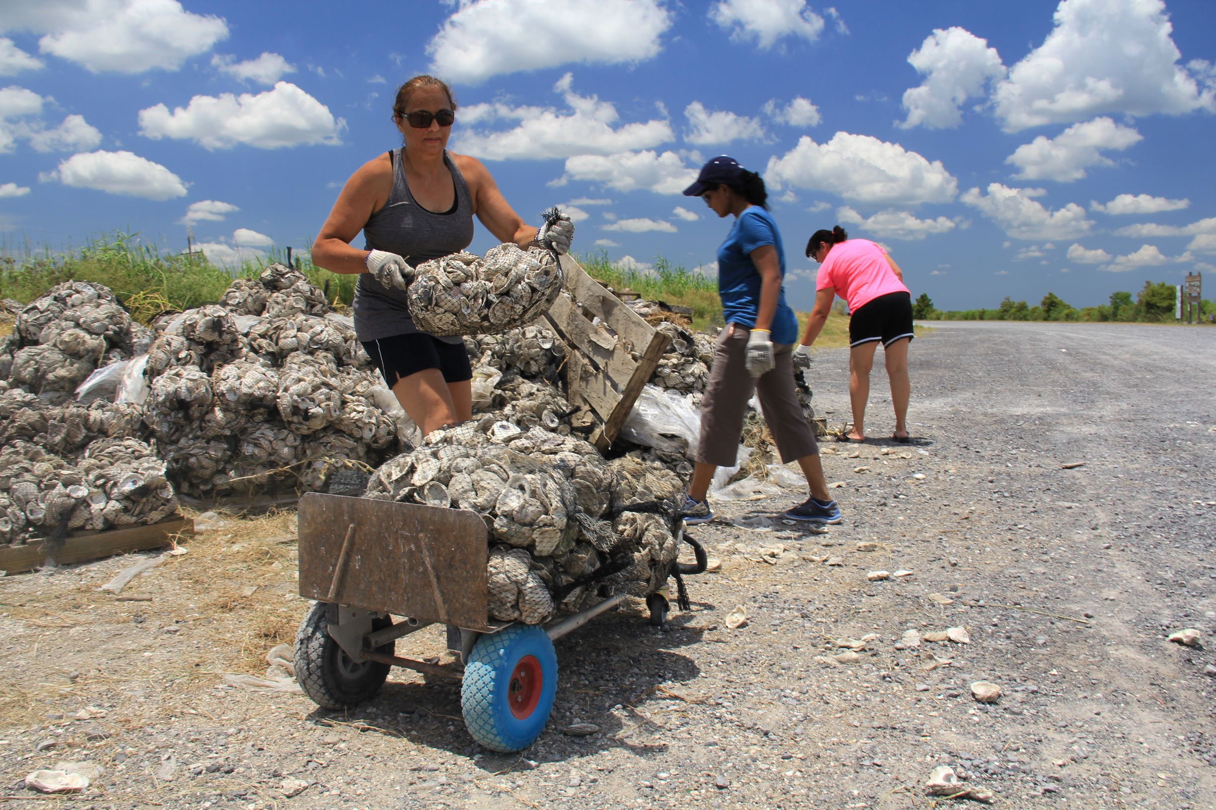 PointeauChien Oyster Shell Project FWS.gov
